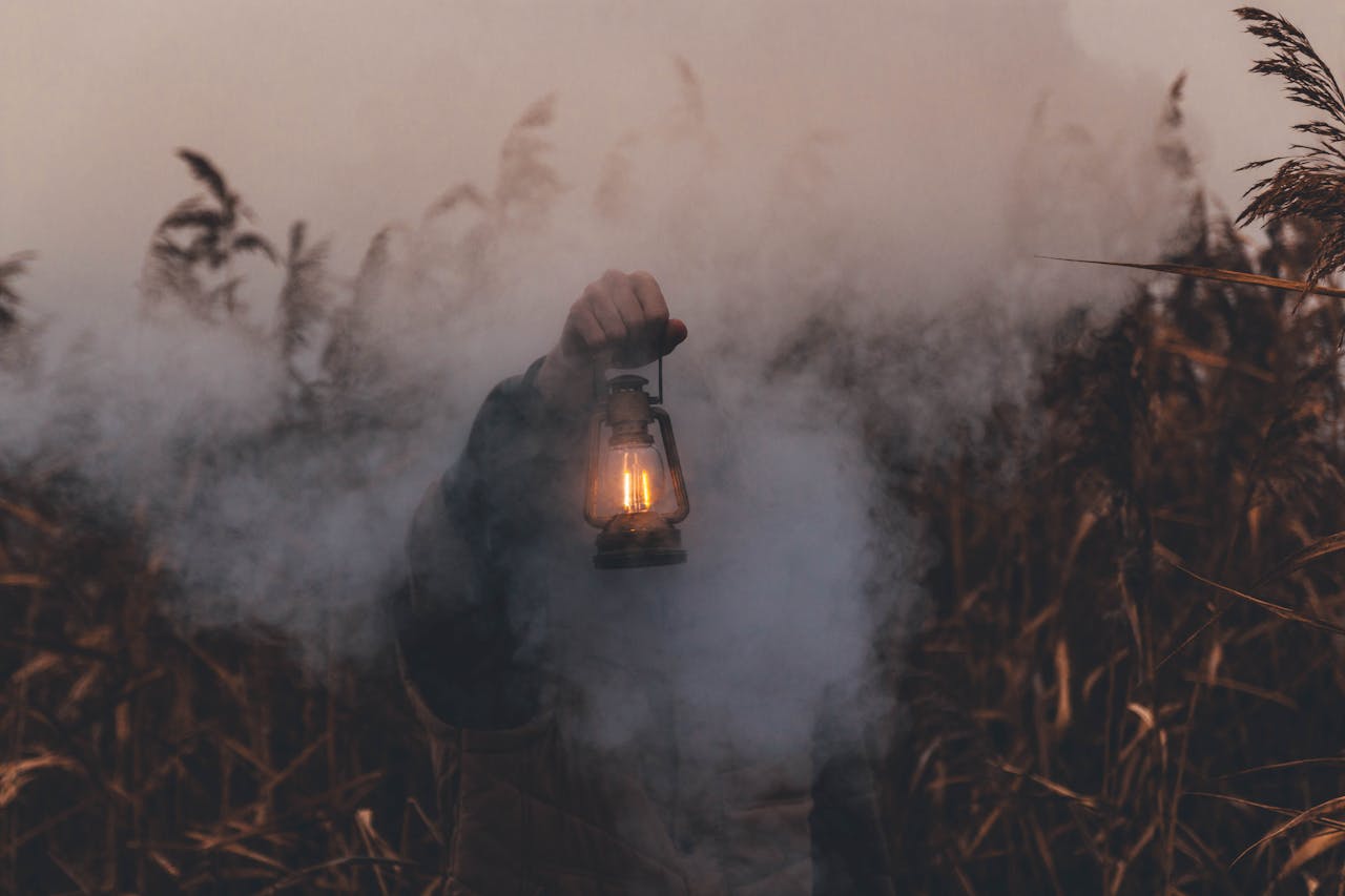 Angebot A person holding an antique lantern amidst smoke and tall grass in a moody outdoor setting.